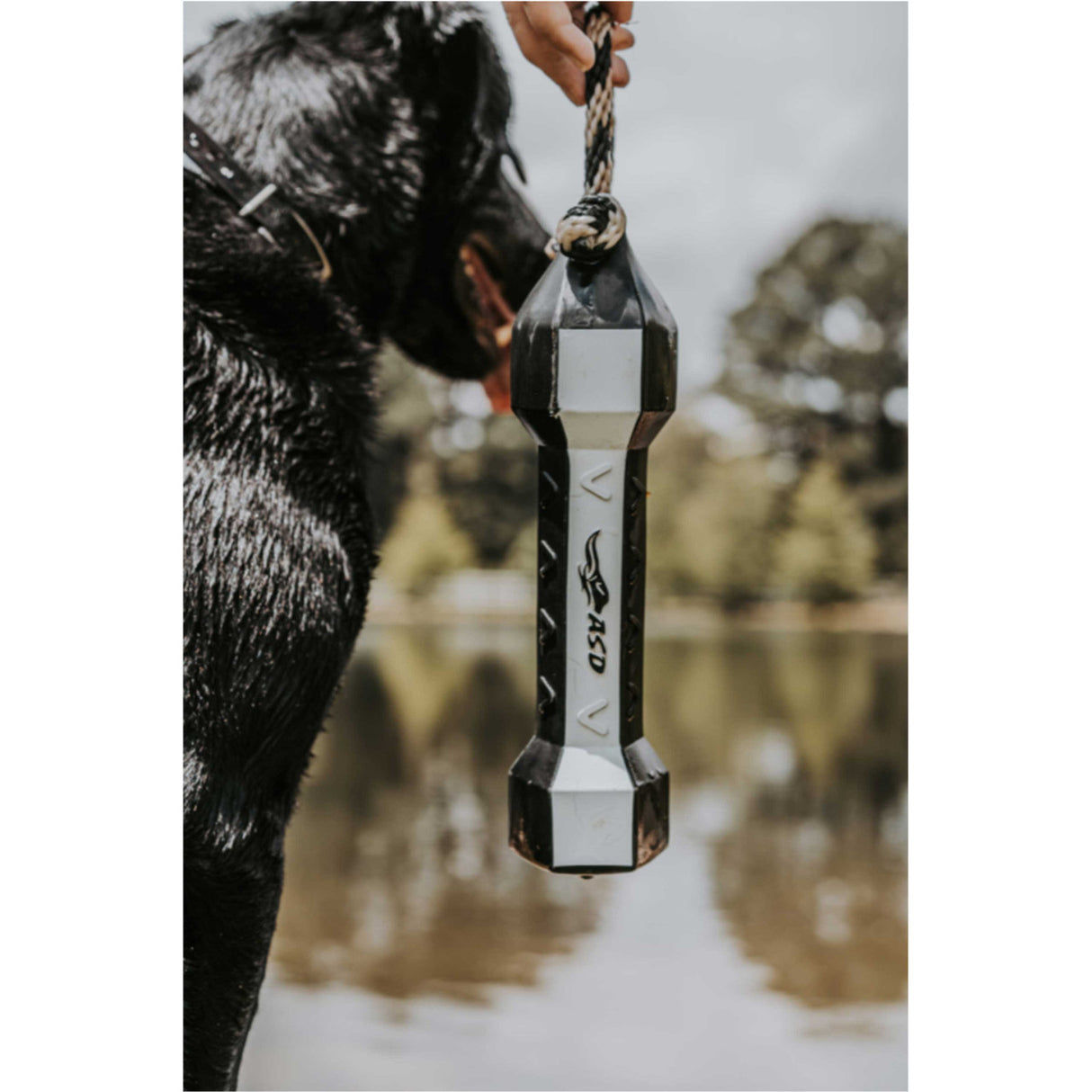 Banded PerfectHold HexaBumper