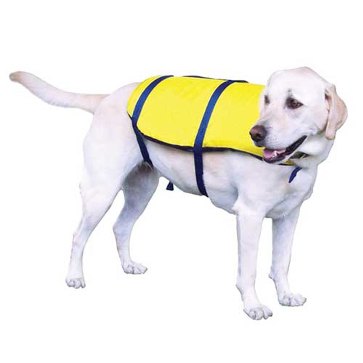 Onyx Nylon Pet Vest