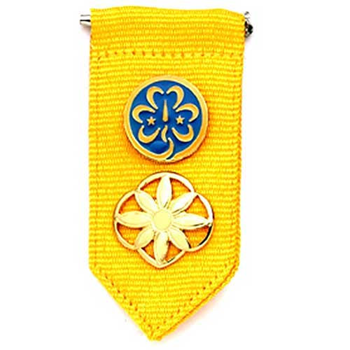 Girl Scout Daisy Insignia Tab