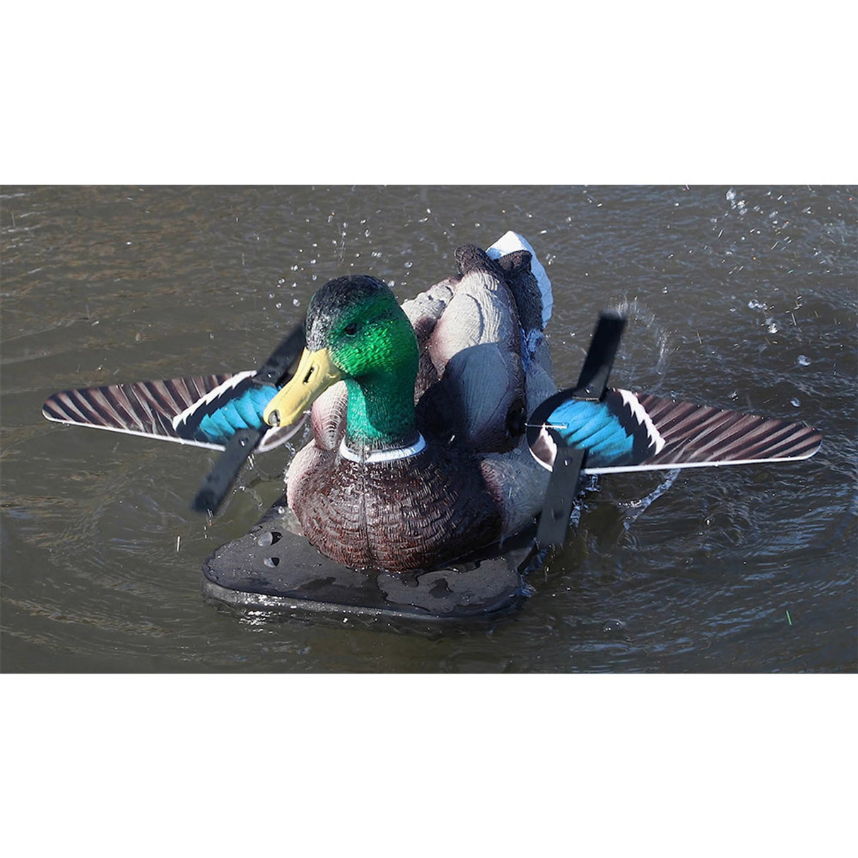 Lucky Duck Lucky Junior II 6V Decoy
