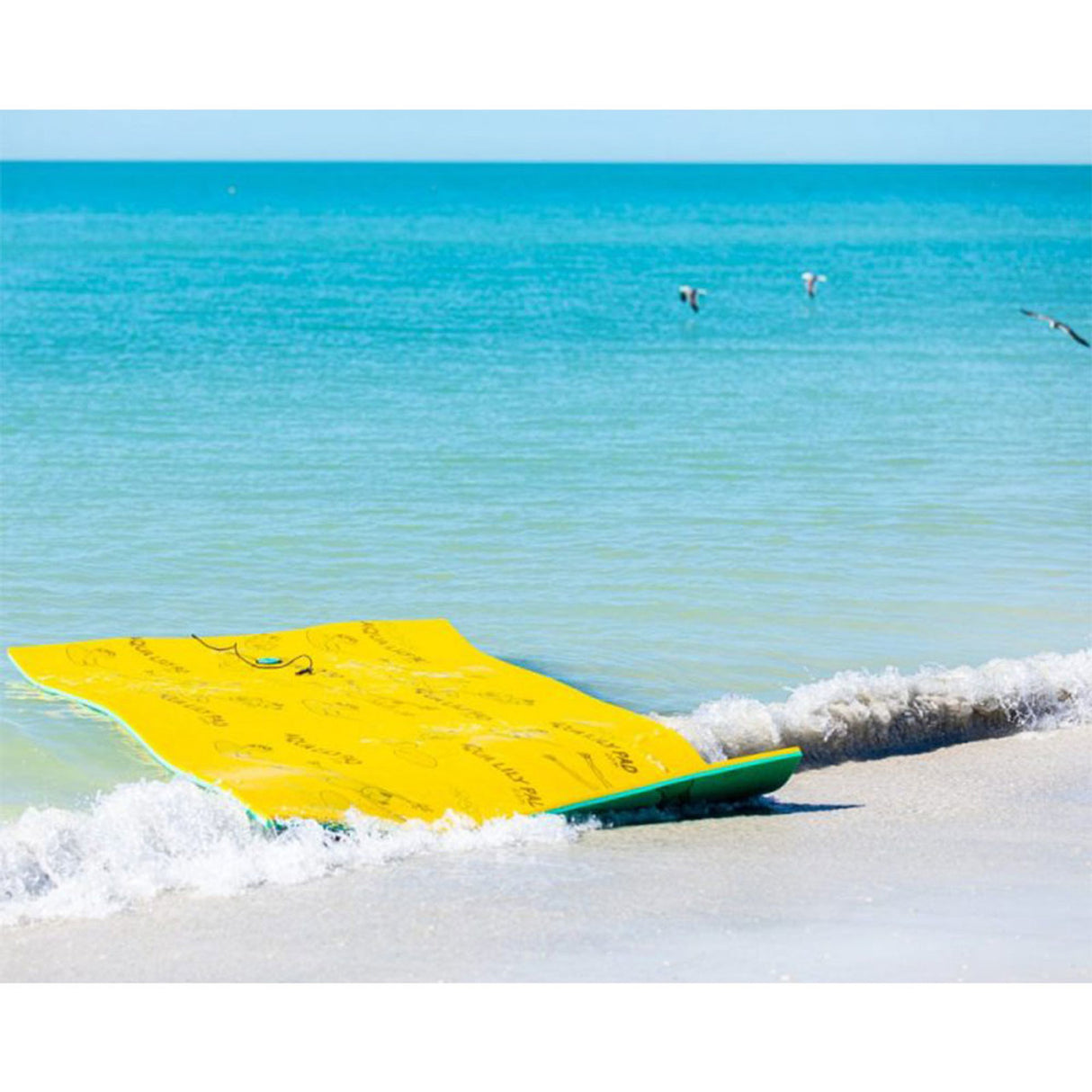 The Original Aqua Lily Pad - 18 Foot