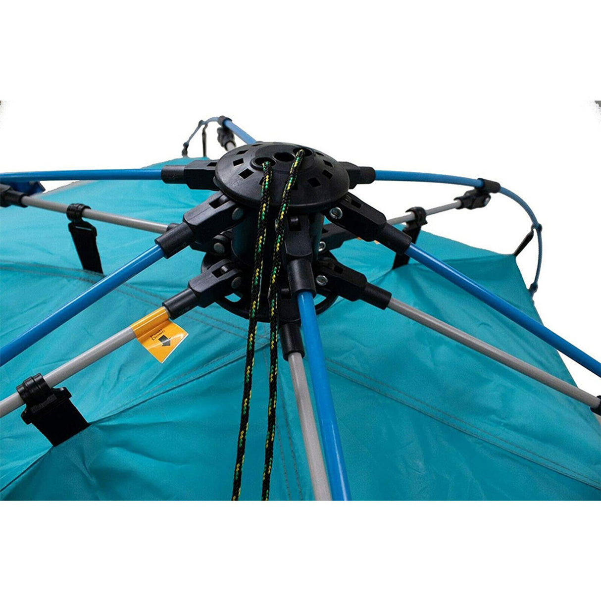 World Famous Sports Island Shelter