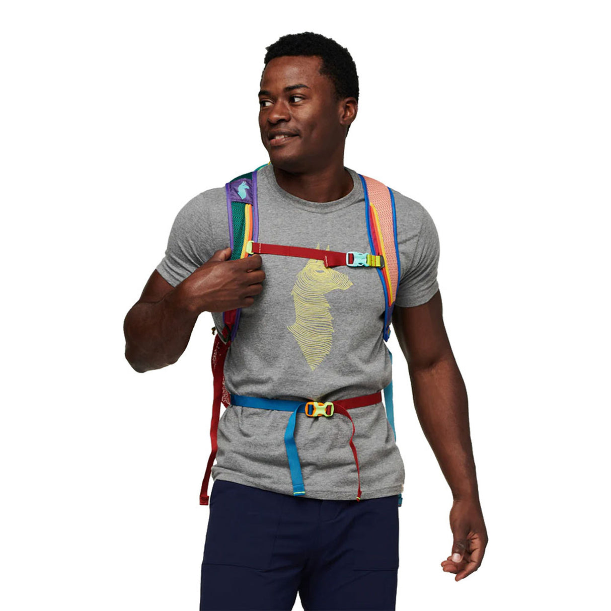 Cotopaxi Luzon 24L Backpack - Del Dia