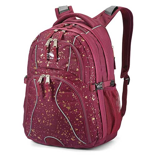 High Sierra Swerve Daypack