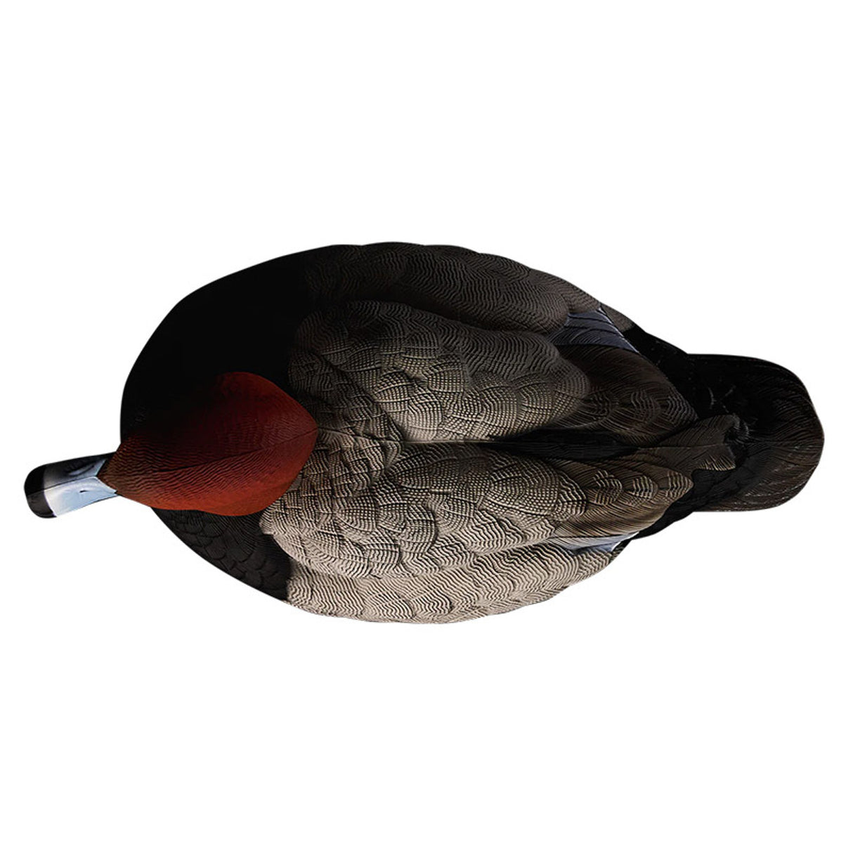 Heyday HydroFoam Redheads Duck Decoys 6 Pack