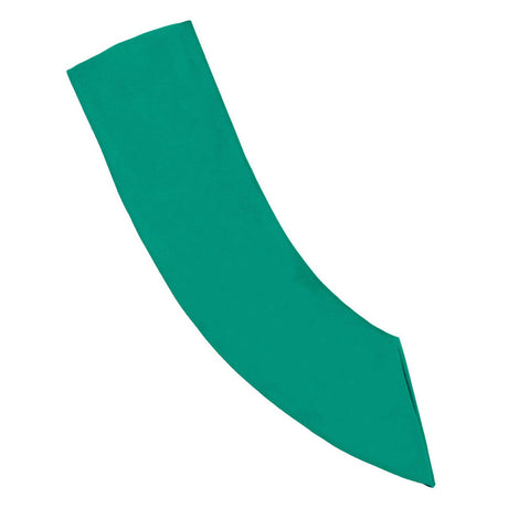 Girl Scout Junior Sash