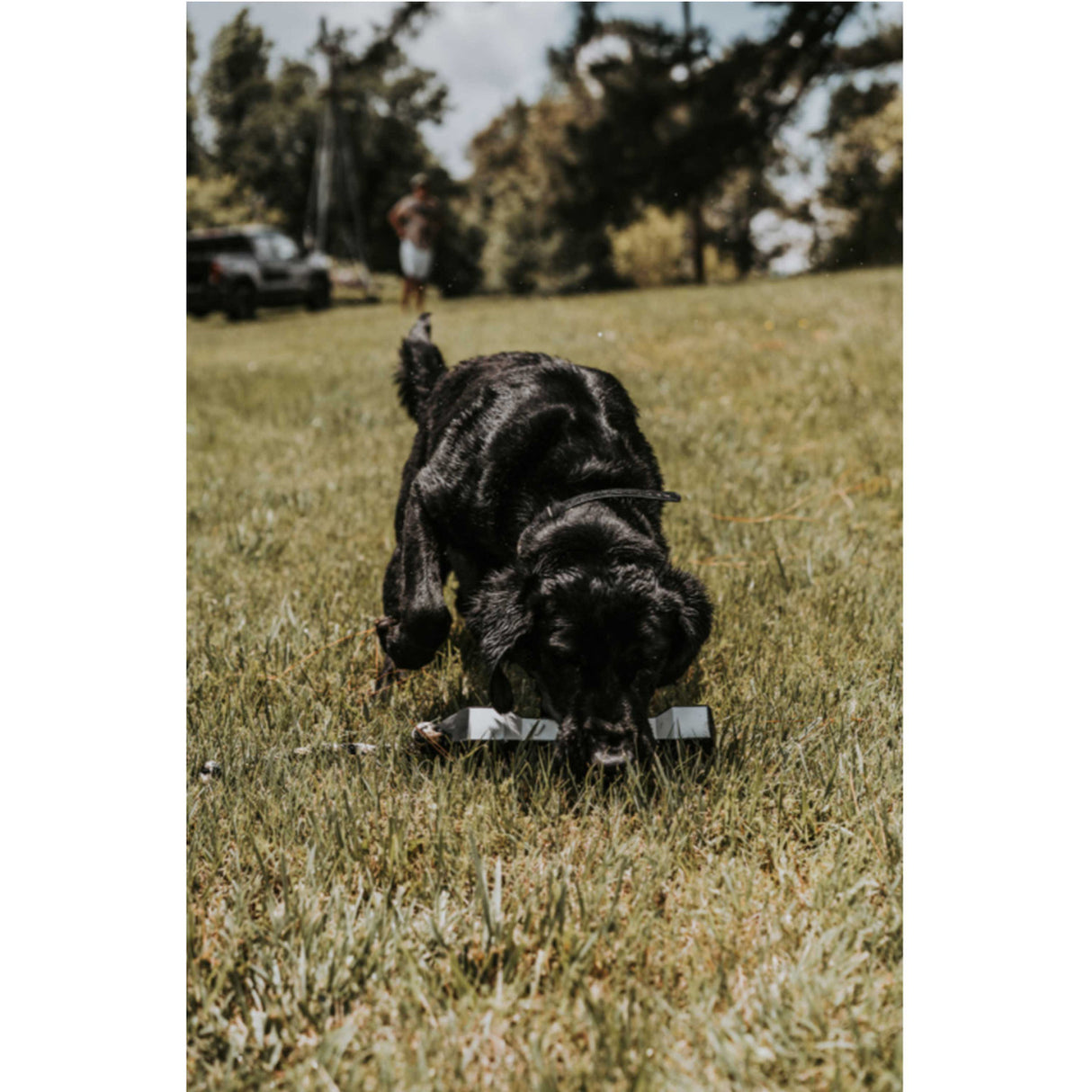 Banded PerfectHold HexaBumper