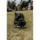 Banded PerfectHold HexaBumper