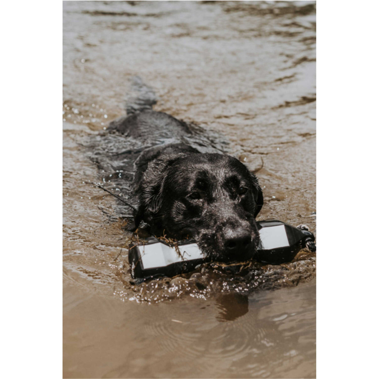 Banded PerfectHold HexaBumper