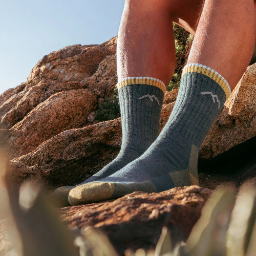 Darn Tough Men's Hiker Micro Crew Cushion Sock