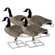 Avery PG XD Canada FB Active Pack - 4 Pack Honker Decoys