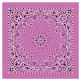 Carolina Creative Products Traditional Paisleys Bandannas