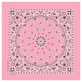 Carolina Creative Products Traditional Paisleys Bandannas