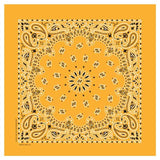 Carolina Creative Products Traditional Paisleys Bandannas