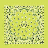 Carolina Creative Products Traditional Paisleys Bandannas