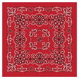 Carolina Creative Products Texas Paisleys Bandannas