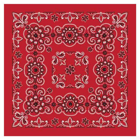 Carolina Creative Products Texas Paisleys Bandannas