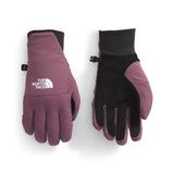 The North Face Women's Shelbe Raschel Etip Gloves