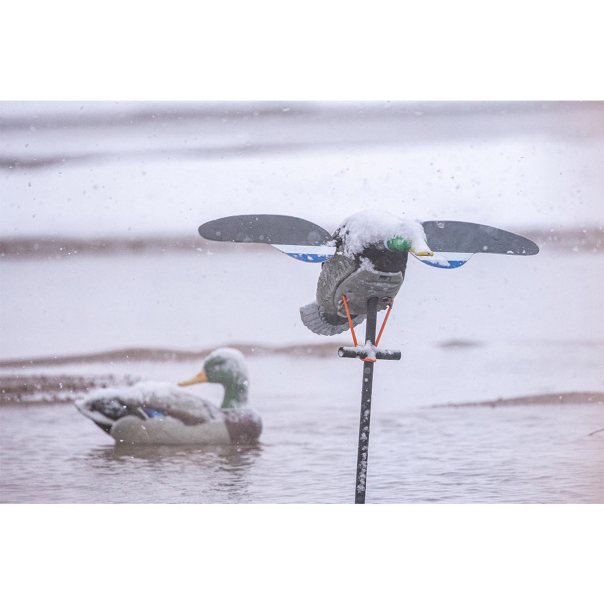 Lucky Duck Lucky Junior II 6V Decoy