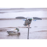 Lucky Duck Lucky Junior II 6V Decoy