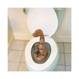 BigMouth Toilet Snake