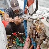 XtraTuf Men's 15-Inch Legacy Boot