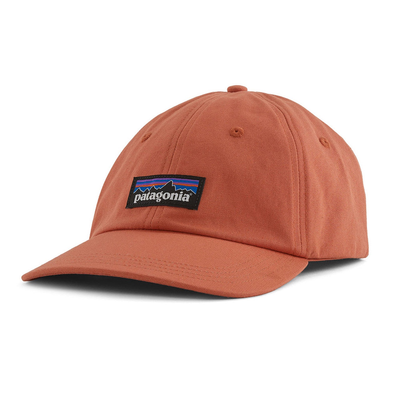 Patagonia　キャップ　セット Patagonia P-6 Label Trad Cap | Sherper's