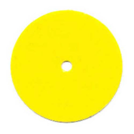 Girl Scout Junior Disc for Membership Star