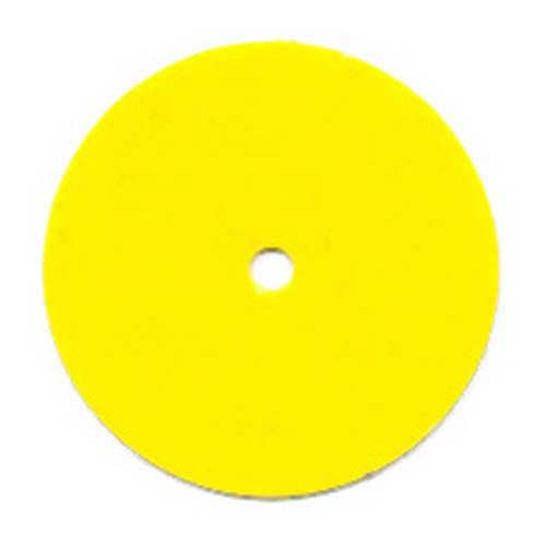 Girl Scout Junior Disc for Membership Star