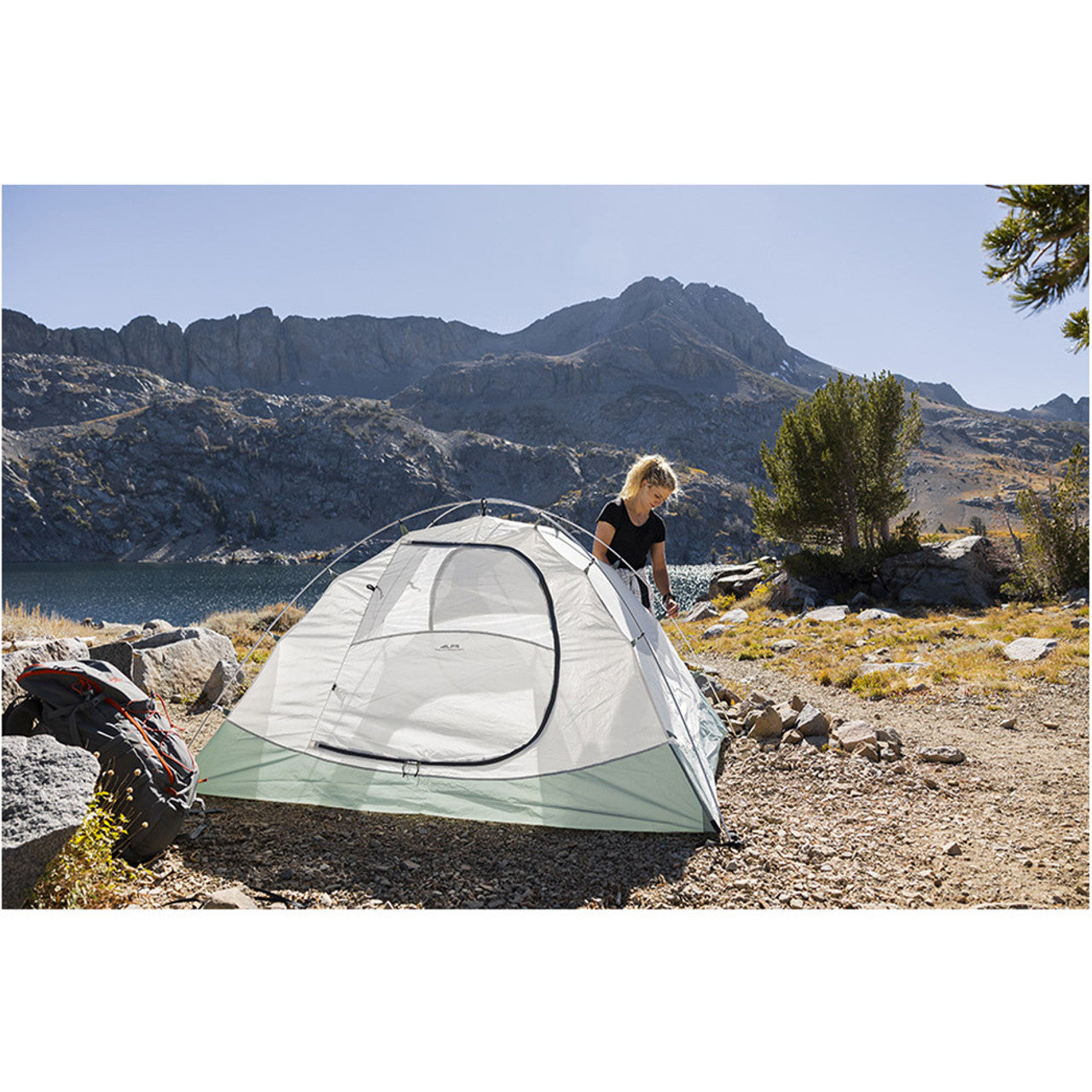 ALPS MOUNTAINEERING FELIS 2 テント ALPS Mountaineering Felis 2-Person Tent | Sherper's