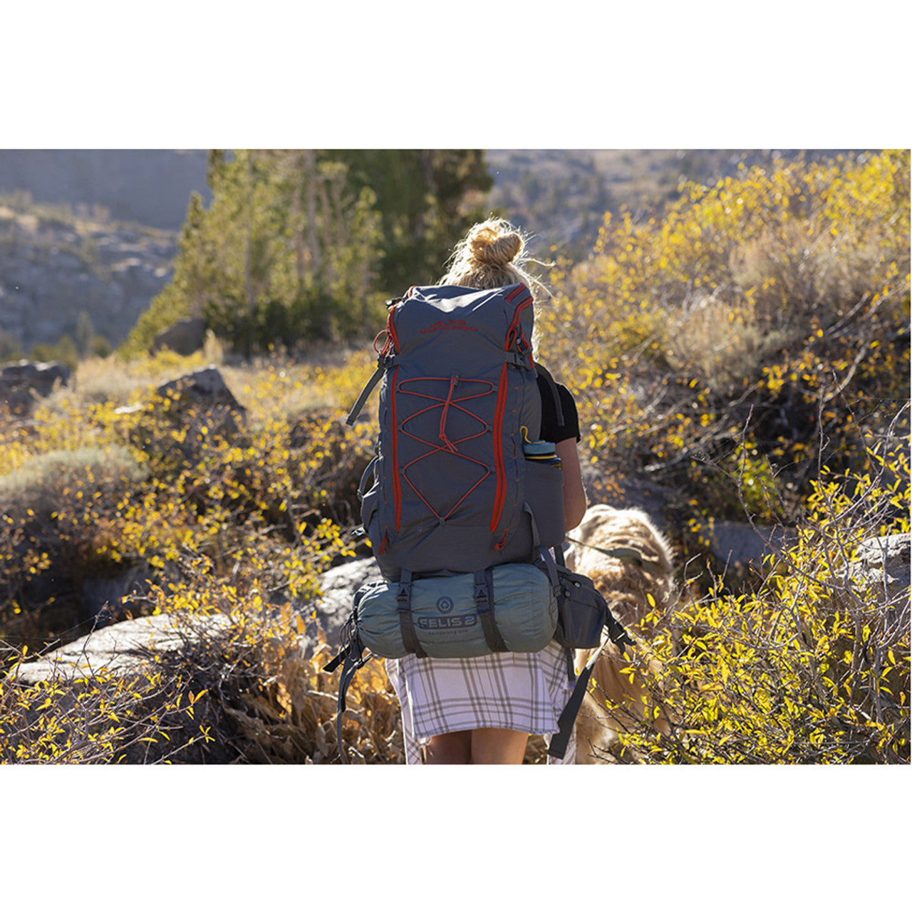 ALPS Mountaineering Felis 2-Person Tent | Sherper's