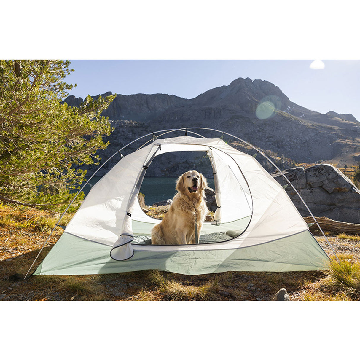 ALPS Mountaineering Felis 4-Person Tent