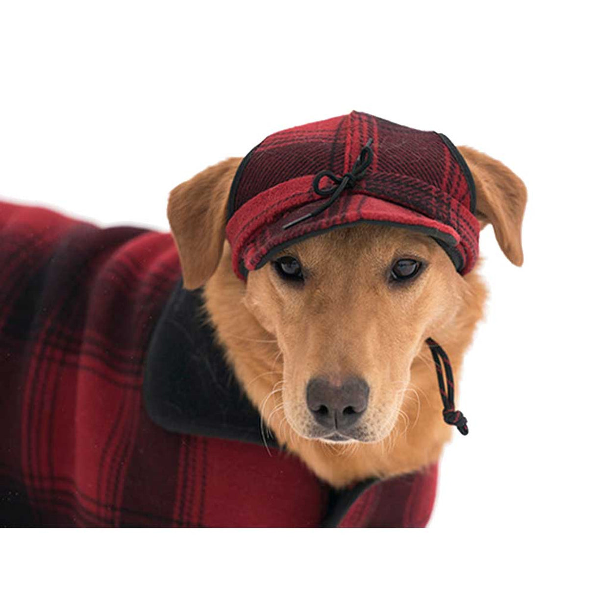 Stormy Kromer Critter Kromer Cap