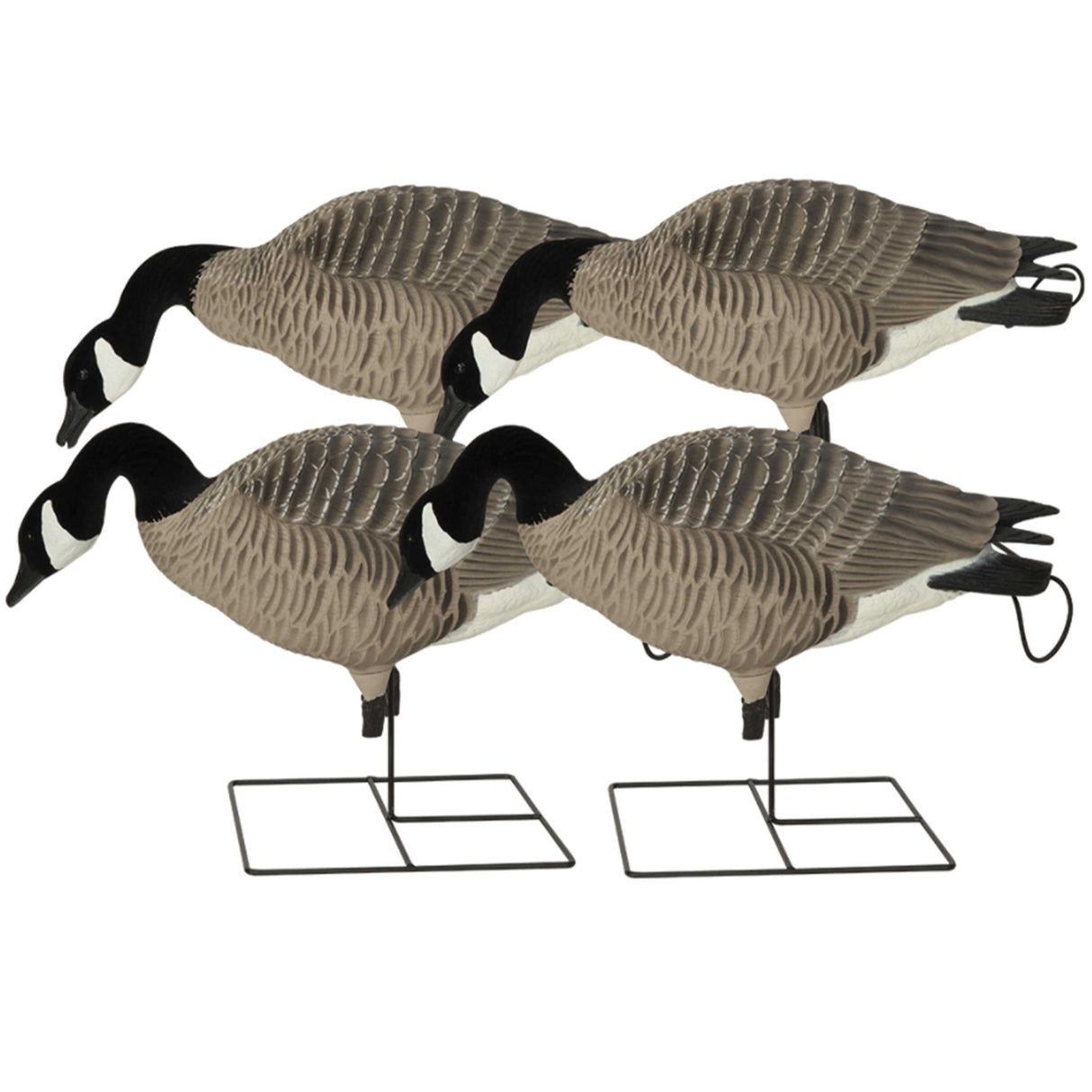GHG XD Series Full-Body Honkers - Feeder 4 Pack