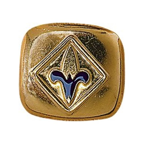 Cub Scout Webelos Rank Neckerchief Slide