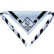 Scout Bear Neckerchief