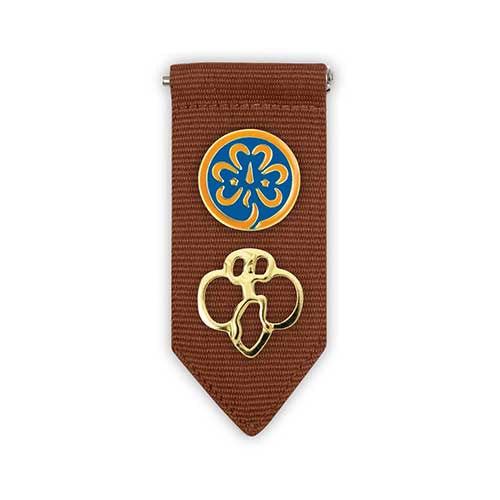Girl Scout Brownie Insignia Tab