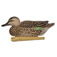 Avian-X Green Wing Teal Decoys 6 Pack
