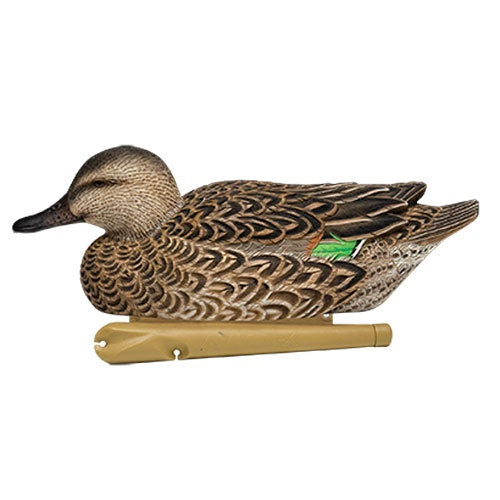 Avian-X Green Wing Teal Decoys 6 Pack