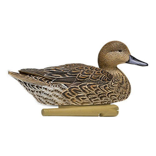 Avian-X Pintail Decoys 6 Pack