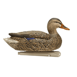 Avian-X Floating Mallard Decoys Open Water 6 Pack