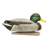 Avian-X Floating Mallard Decoys Open Water 6 Pack