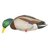 Avian-X Full Body Mallard Decoys 6 Pack