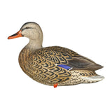 Avian-X Full Body Mallard Decoys 6 Pack