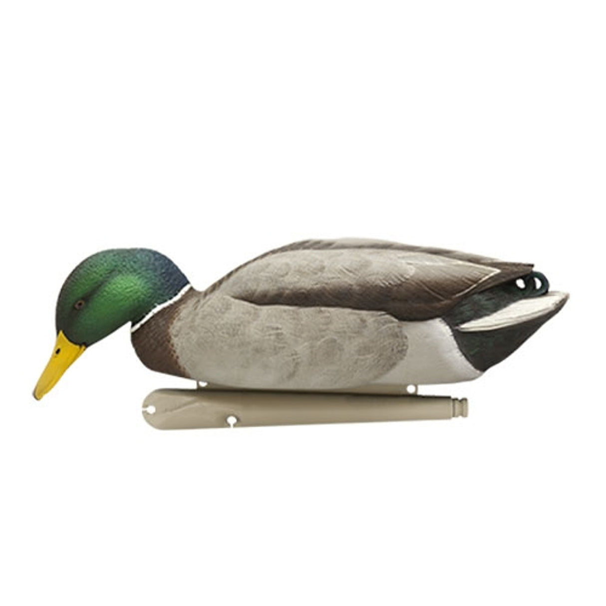 Avian-X Backwater Mallard Decoys 6 Pack