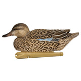 Avian-X Blue Wing Teal Decoys 6 Pack