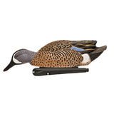 Avian-X Blue Wing Teal Decoys 6 Pack