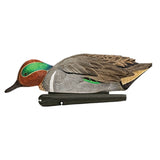 Avian-X Green Wing Teal Decoys 6 Pack