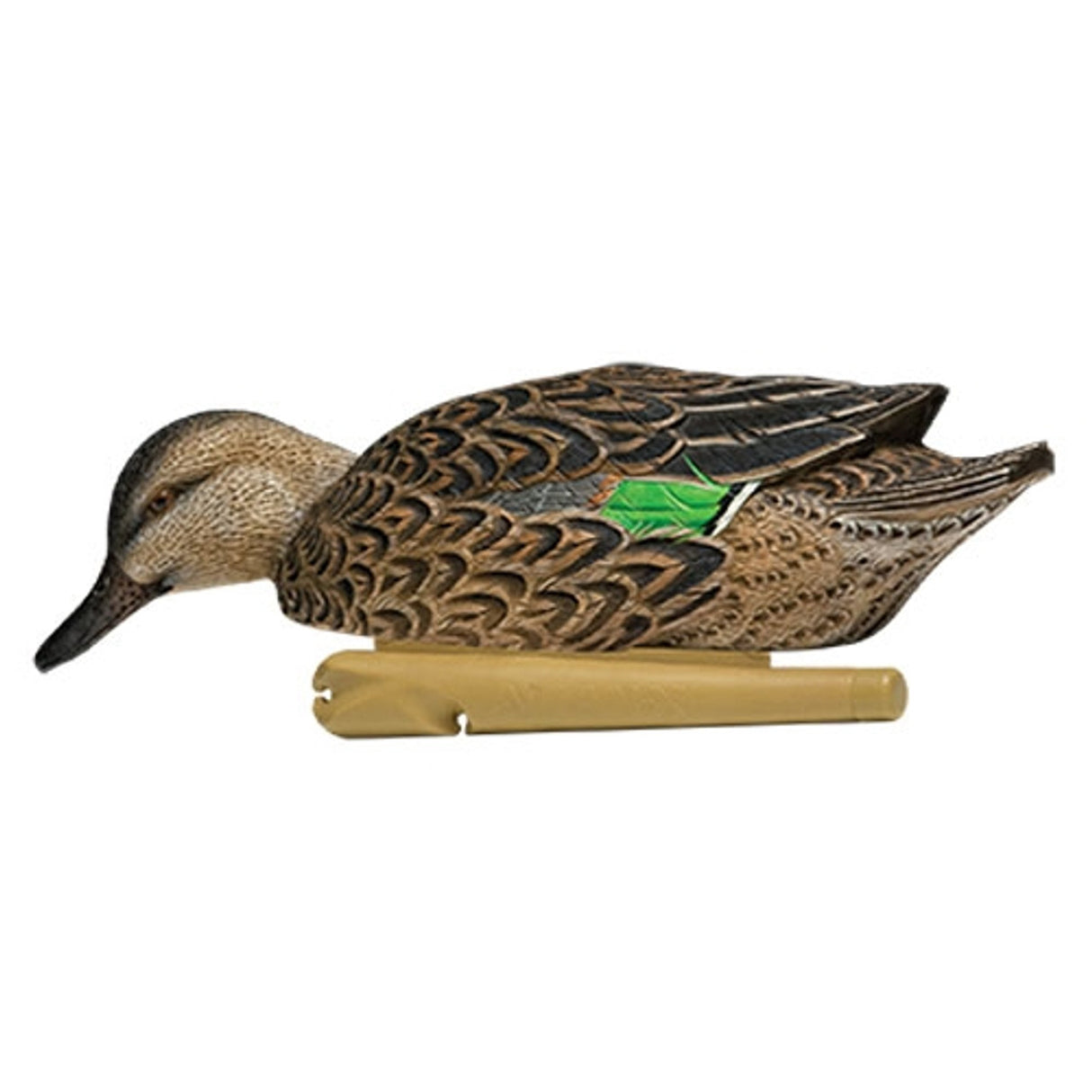 Avian-X Green Wing Teal Decoys 6 Pack