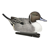 Avian-X Pintail Decoys 6 Pack